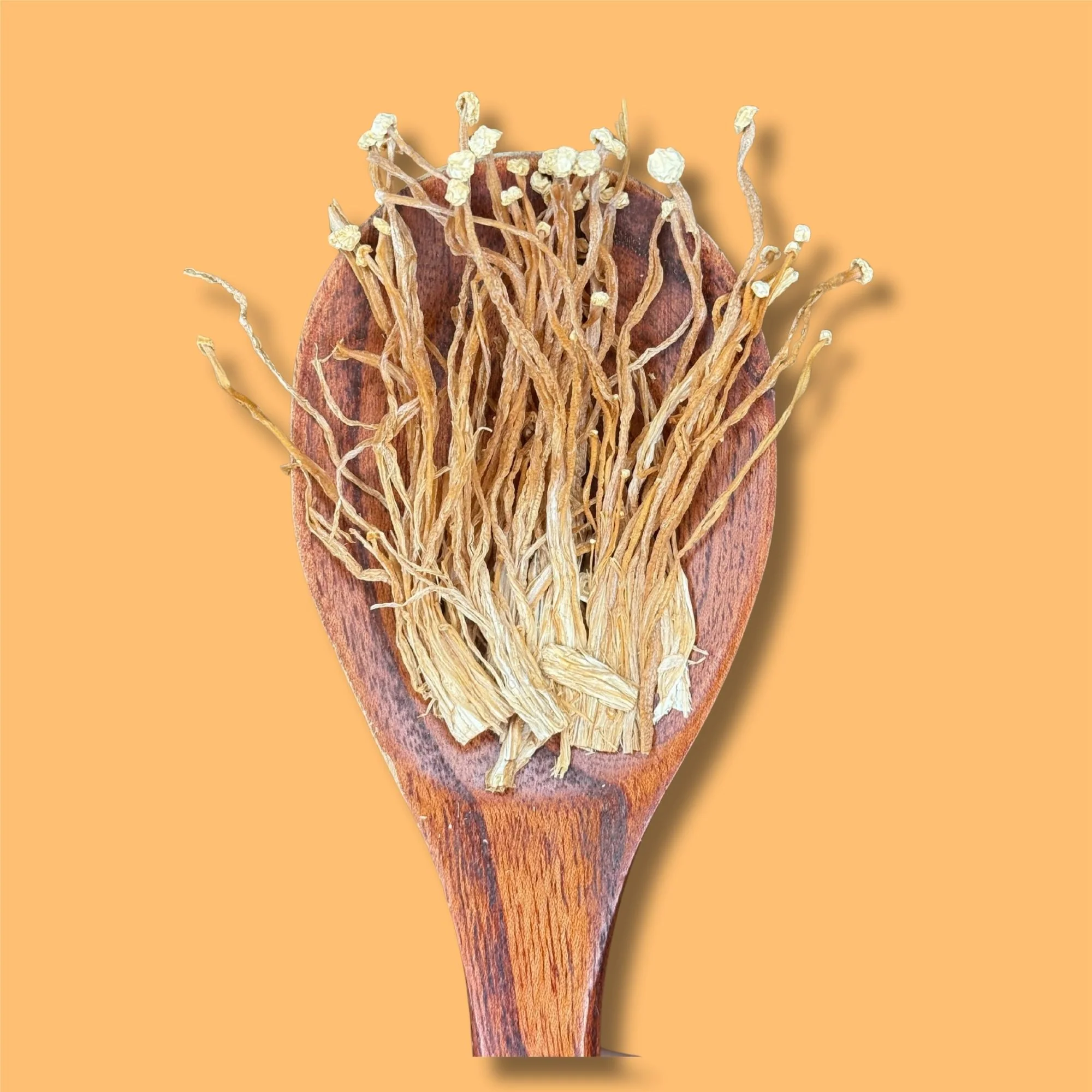 Enoki Mushroom - Image 3