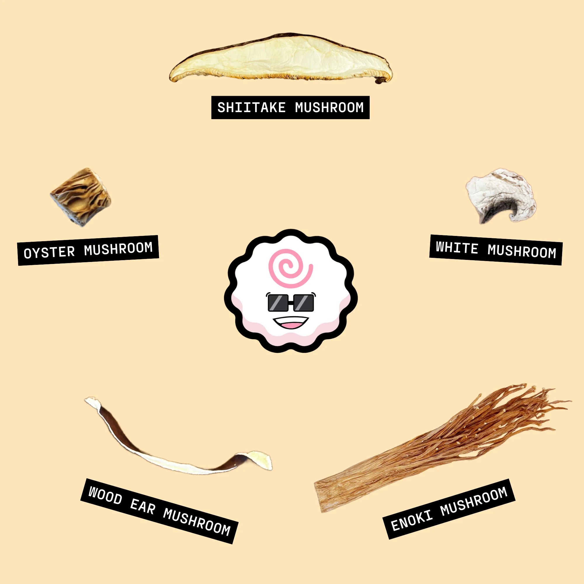 Mushroom Bundle - Image 2